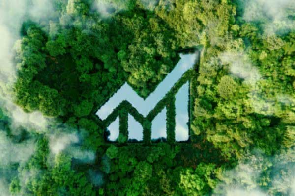 许安丰：3.19黄金决议提前走预期，后市反弹承压空为主